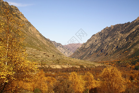 秋秋山地貌白色褐色蓝色石头灰色树叶衬套天空岩石黄色背景图片