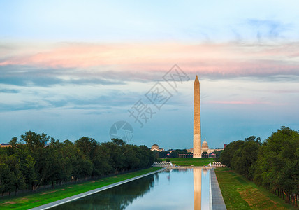 华盛顿纪念碑美国树木高清图片