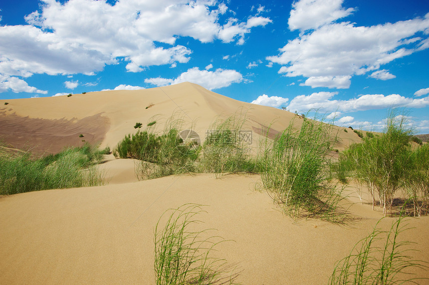 炎热的沙漠印刷小丘爬坡蓝色戈壁旅行天空沙丘旅游梭梭图片