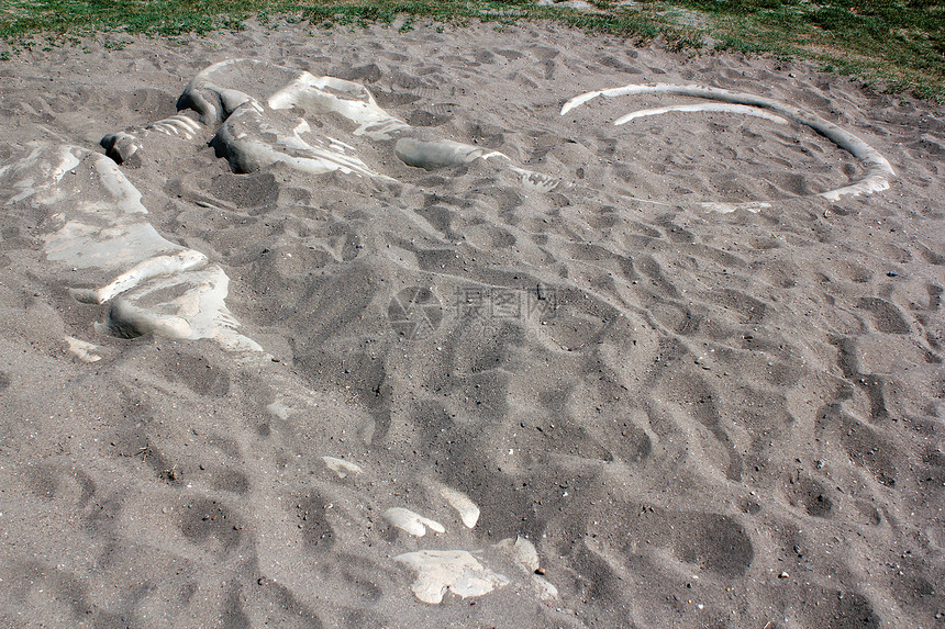 沙中长毛象骨骼图片