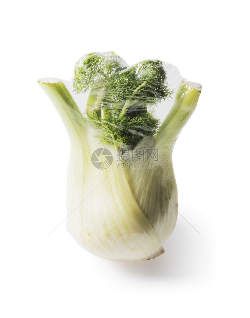 芬内食物产品包裹密封蔬菜包装纸塑料灯泡图片