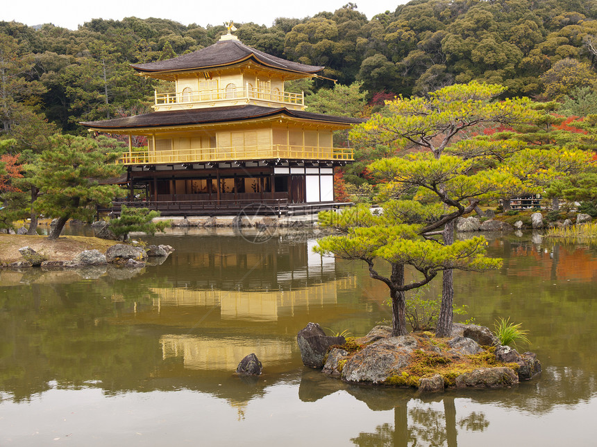 日本京都金宫寺金殿建筑学金子艺术旅行叶子花园旅游地标文化历史性图片