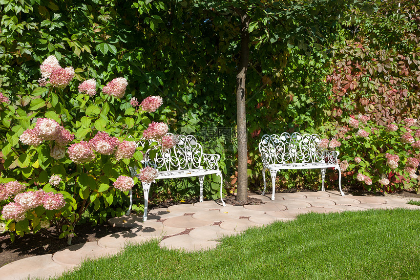 白花园长椅绿色植物花朵石头公园露台房子场景花园家具图片