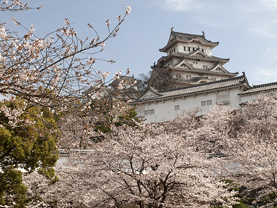 樱花盛季的喜木吉城堡将军石头晴天城堡天空地标旅游皇帝起重机花园背景图片