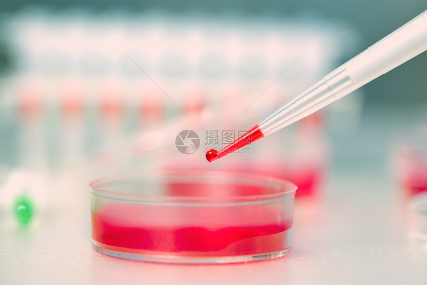 配有一滴液体和小菜盘的浸水器遗传实验室红色验血微生物学生物学化学品吸管样本实验图片