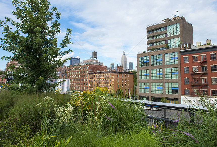 纽约高线公园建筑学花园花朵建筑物景观公寓房子城市图片