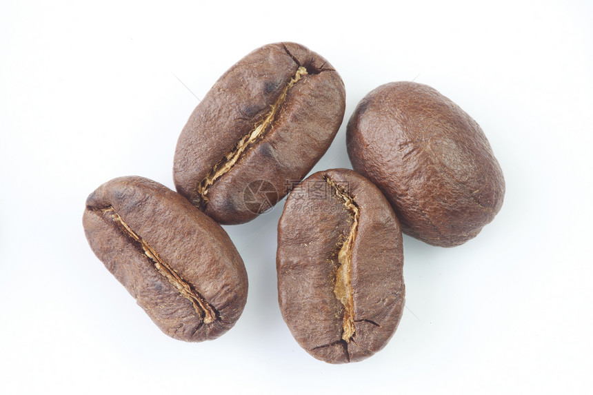 咖啡豆豆种子棕色主食咖啡作物食物宏观摄影图片