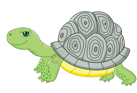 加拉帕戈斯群岛乌龟漫画动物园野生动物荒野插图宠物动物爬虫童年动物学微笑插画