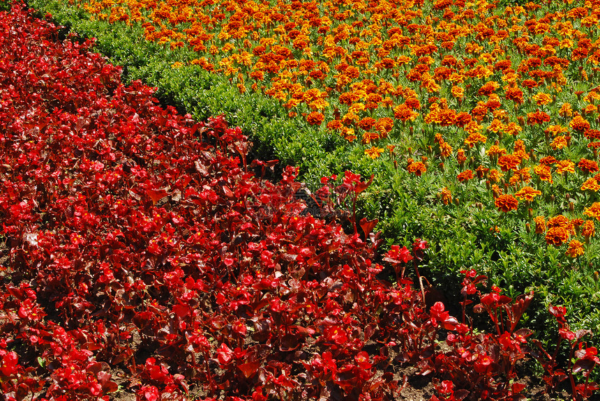 红和橙色花盆图片