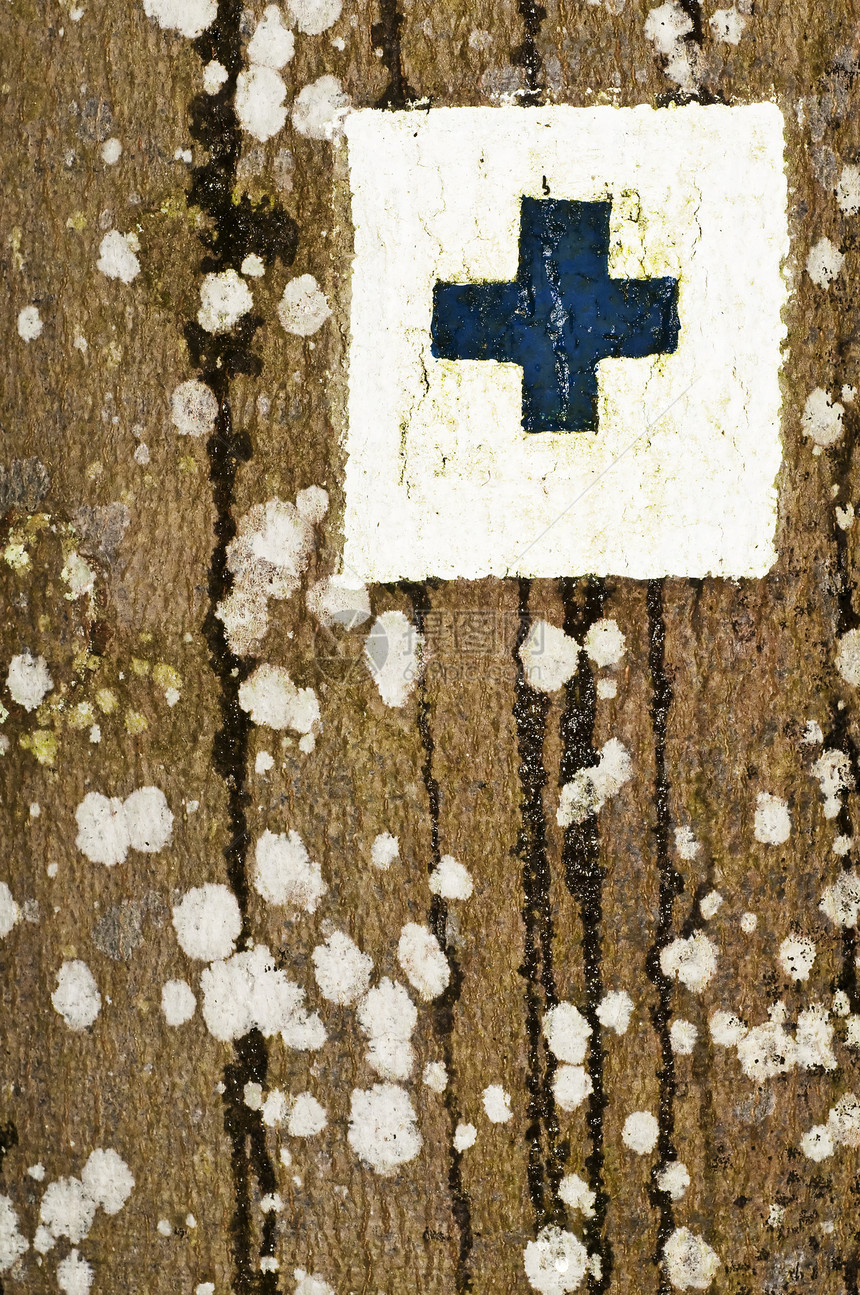 树上的标记盘子指导小路旅游木头路标踪迹森林旅行白色图片