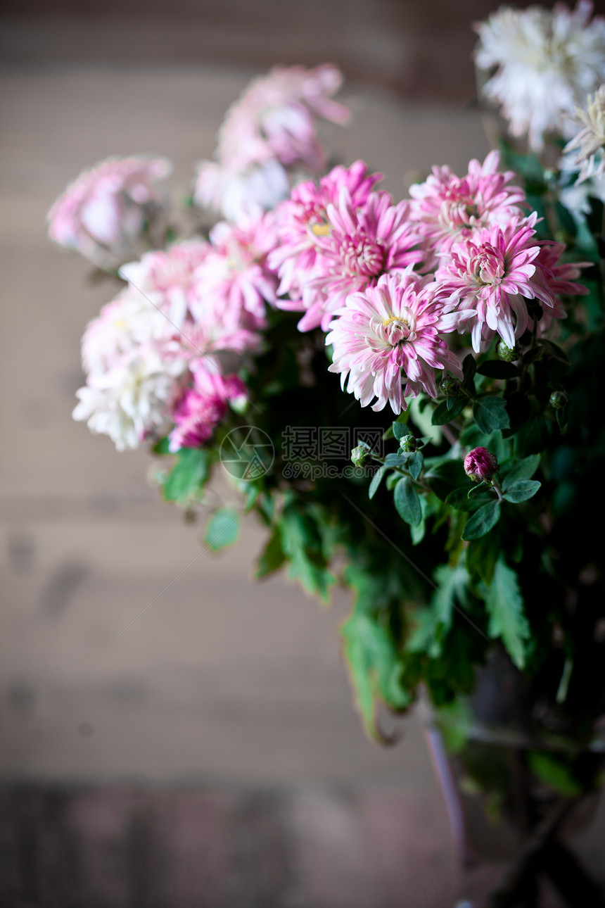 粉红菊花花束玻璃花瓶粉色紫色花园花瓣植物群季节植物图片