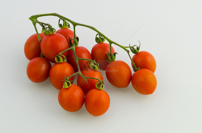 松树上的番茄蔬菜葡萄树藤蔓沙拉健康水果图片