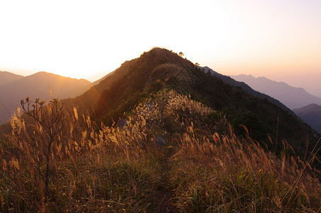 岛南中华山的日落草地树叶爬坡辉光山麓海洋奶海安全太阳草原背景图片