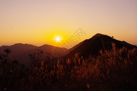 岛南中华山的日落草原奶海山麓杂草树叶辉光生活安全海岸线爬坡背景图片