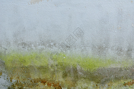 苔藓墙背景图片