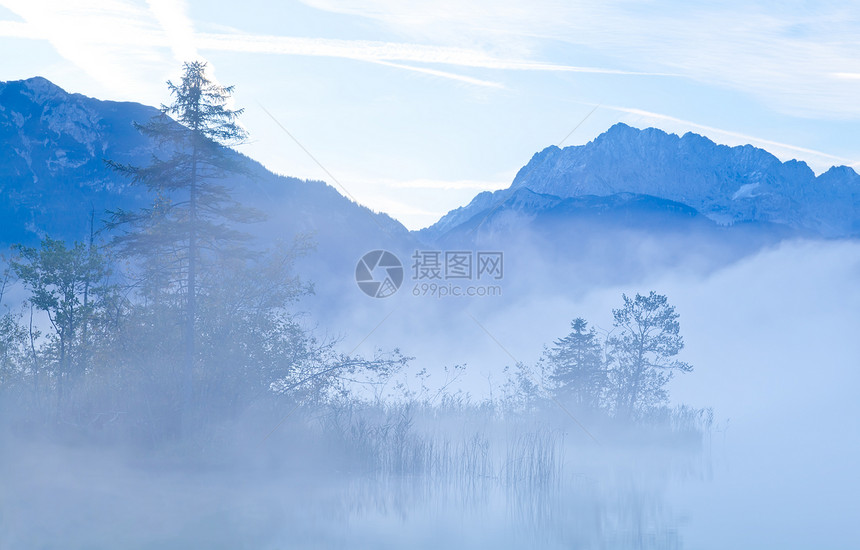 山岳在清晨的迷雾中戏剧性森林风景山羊蓝色高山植物荒野天空生长图片