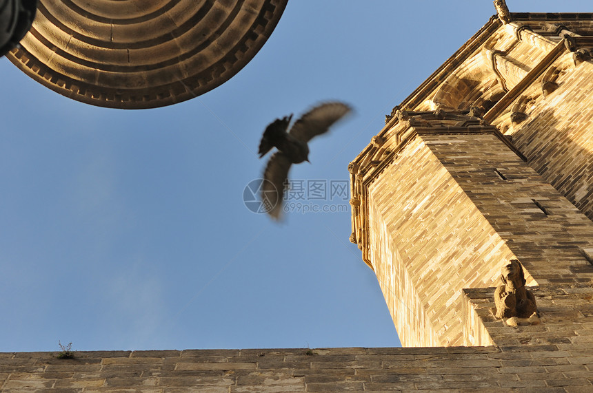 中世纪巴塞罗那门廊大教堂飞行教会建筑学寺庙石头鸽子图片