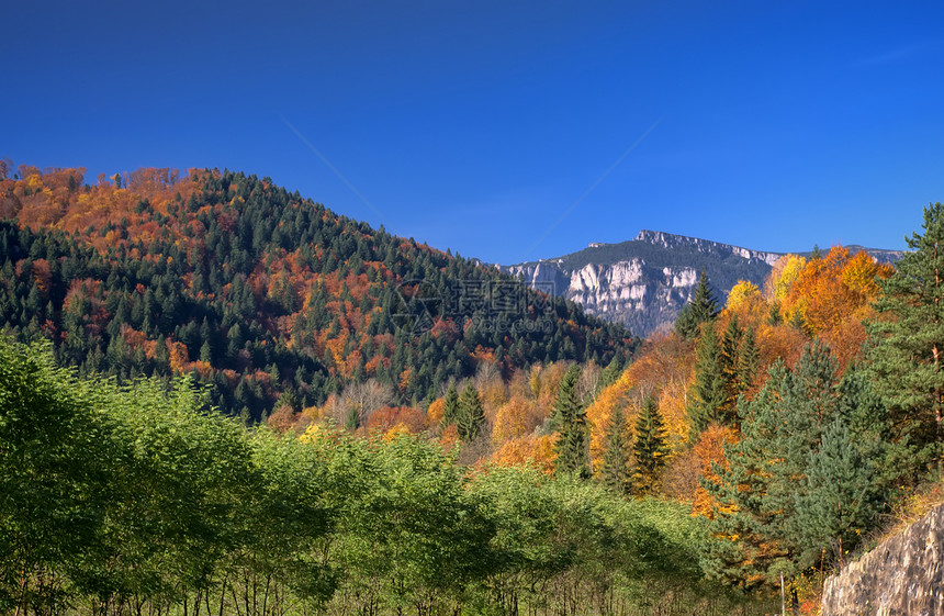 秋秋山地貌乡村蓝色森林天顶季节旅行绿色高地全景高山图片
