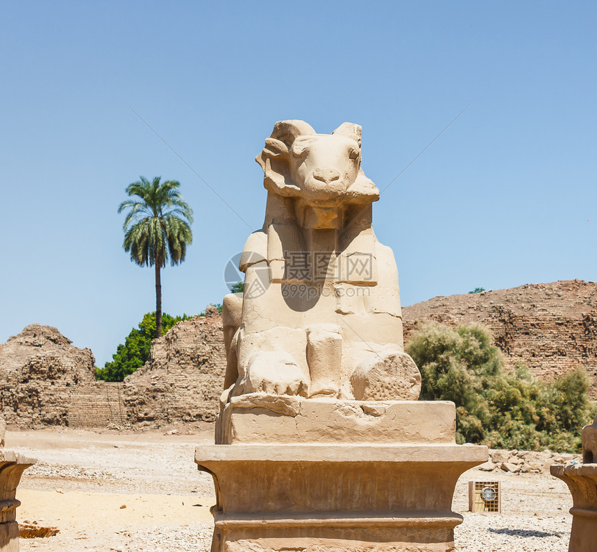 埃及卡纳克寺庙古老废墟宗教人面狮身雕刻上帝古物石头纪念碑纪念馆旅行图片