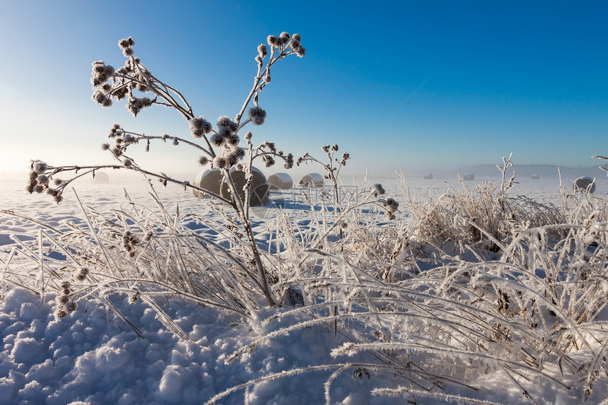 雪花篮子旅游暴风雪农村季节小麦房子草地地形天空收割机图片