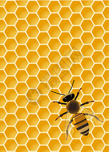 蜂王浆蜜蜂在蜂窝上蜂蜡插图梳子蜂蜜条纹宏观黄色橙子食物程式化插画