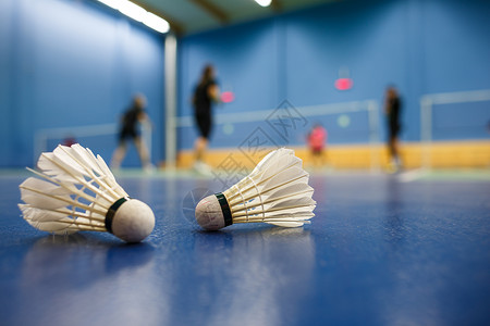 羽毛球羽毛球法庭 有参赛者竞争穿梭孔雀游戏训练玩家乐趣精神比赛细绳球拍竞赛羽毛背景图片