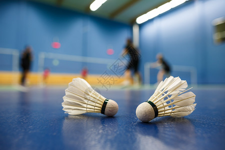羽毛球羽毛球法庭 有参赛者竞争穿梭孔雀游戏小鸟速度地面自由娱乐爱好球拍训练闲暇背景图片