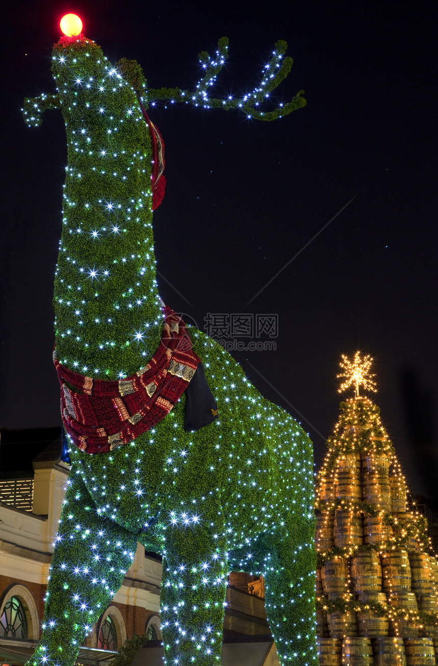 圣诞节在科文特花园的顶级驯鹿旅行城市英语季节性景点观光旅游喜庆树木庆祝图片