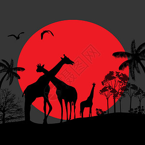 奔跑长颈鹿非洲Giraffe家庭轮椅设计图片
