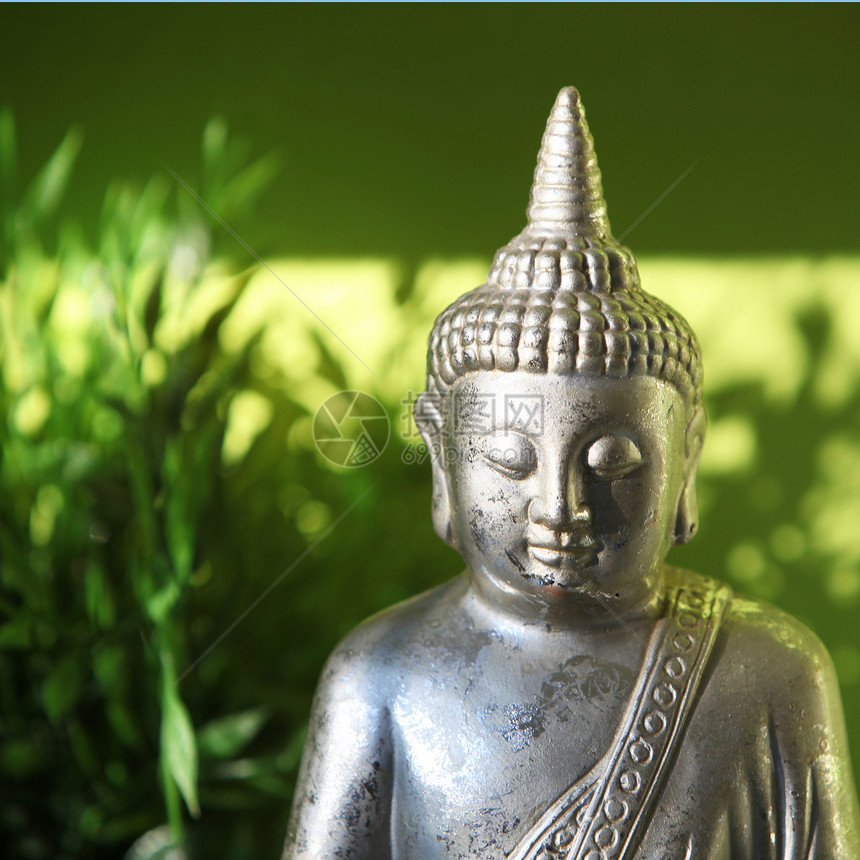 佛像雕像旅行树叶农村阳光绿色植物信仰精神多叶数字佛教徒图片