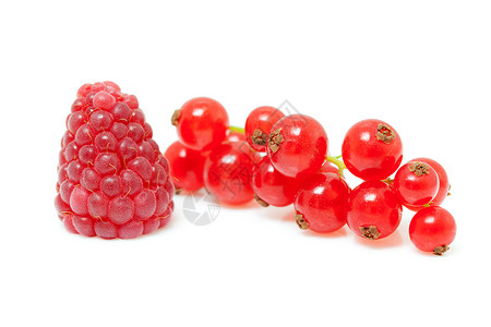 一棵草莓和红咖喱果 在特制中背景图片