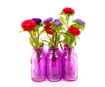 花瓶中的花朵植物群花束工作室季节性背景图片