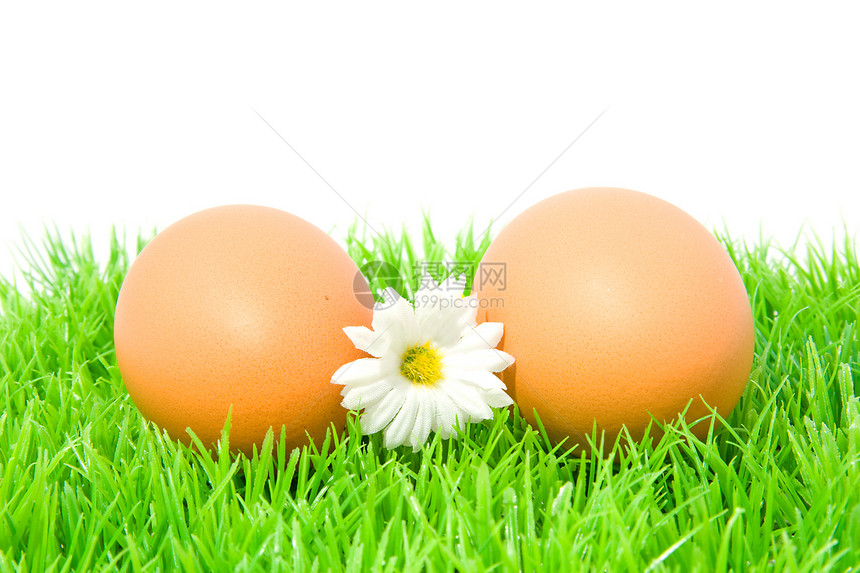 草上两个鸡蛋棕色季节性绿色食物白色早餐图片