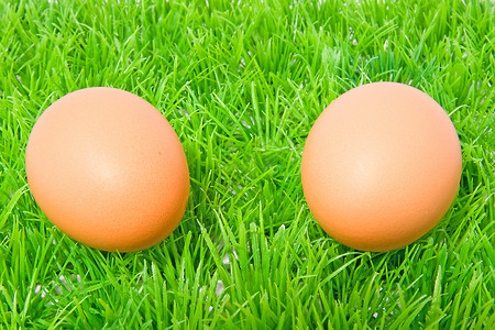 草上两个鸡蛋棕色季节性早餐绿色食物背景图片