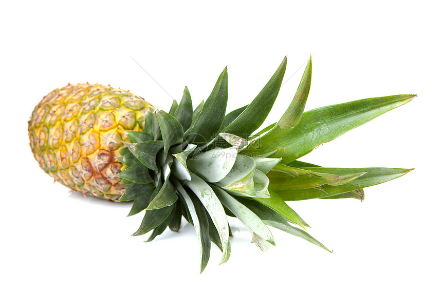 新鲜菠萝热带异国水果情调沙漠树叶维生素植物凤梨食物图片