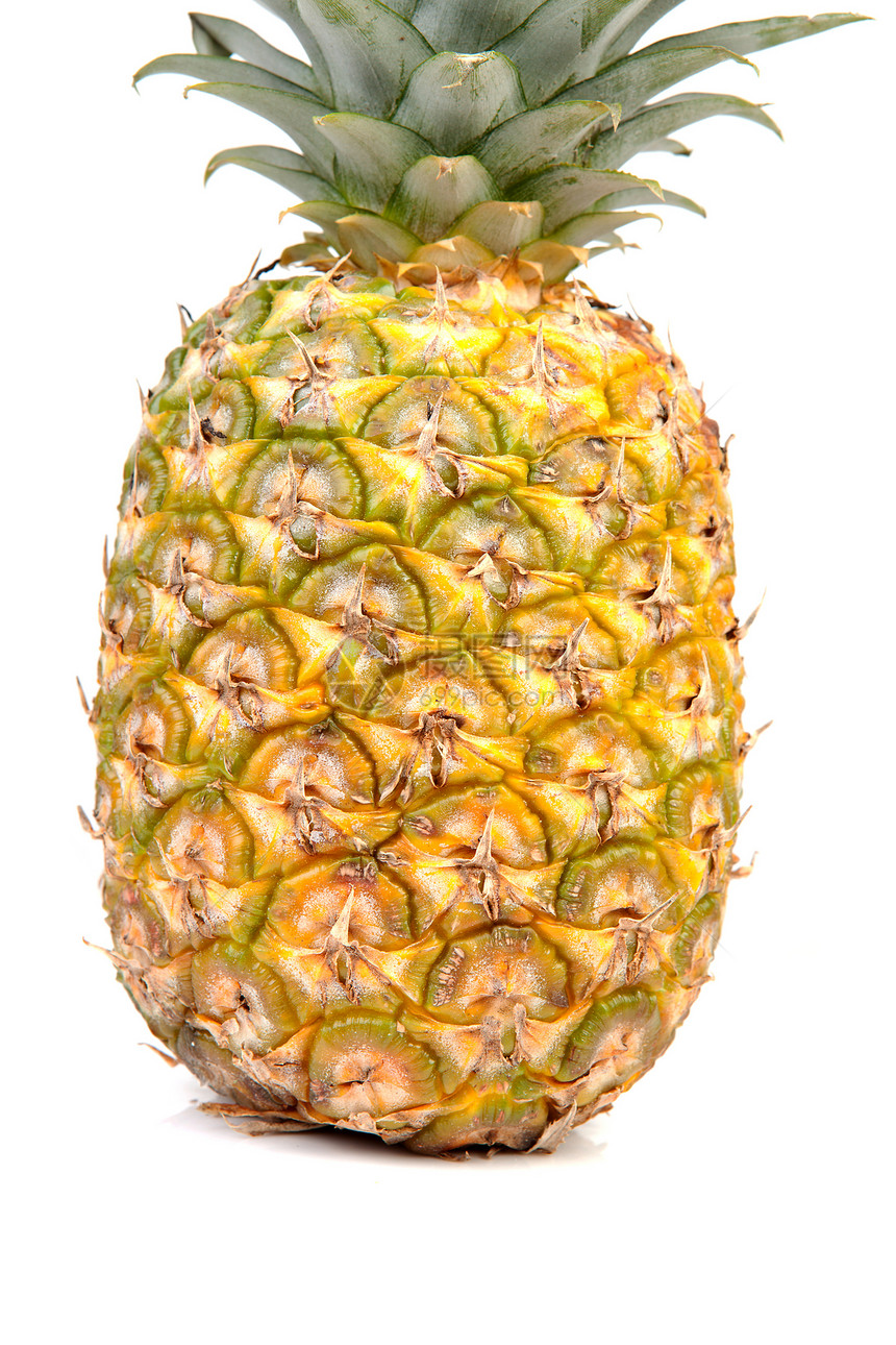 新鲜菠萝食物凤梨沙漠水果维生素情调异国树叶热带植物图片
