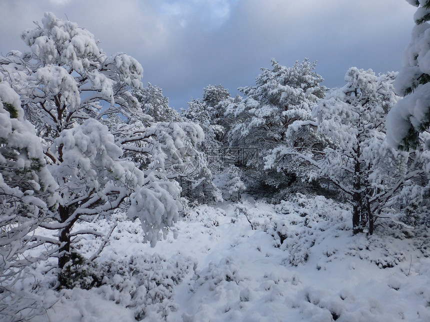 满是积雪的乌云图片