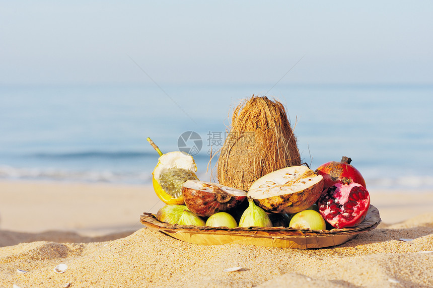 海上水果情调热带椰子海洋石榴坚果木瓜食物异国海岸图片