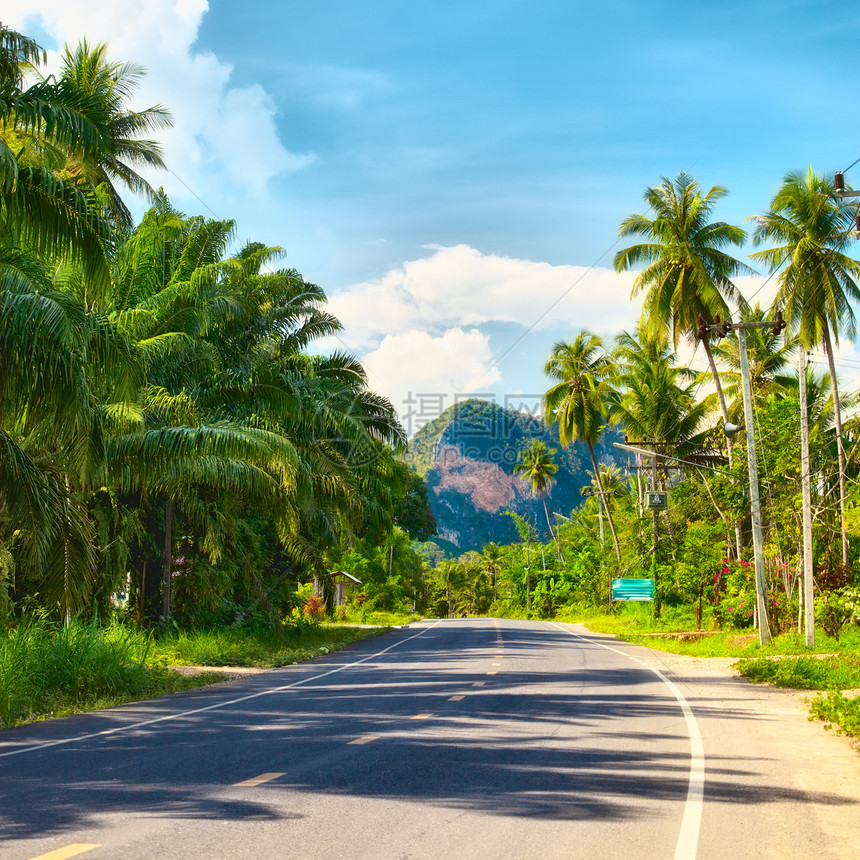 泰国公路网泰国高速公路植物正方形小路晴天场景悬崖椰子橙子风景叶子图片