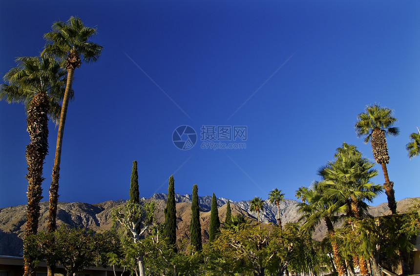 加利福尼亚州棕榈泉California环境山脉树木树叶沙漠竹芋手掌远景风景旅行图片