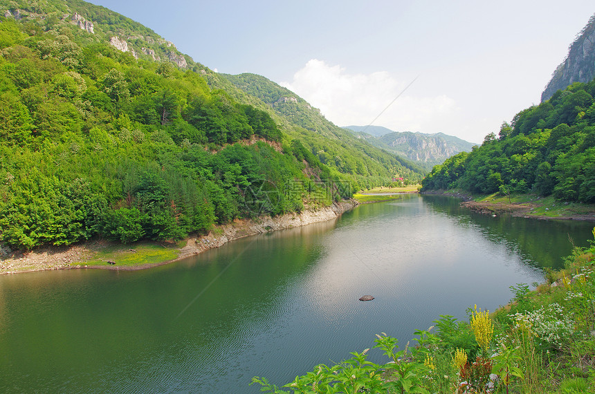 山区湖反射风景场景森林环境岩石全景蓝色生态绿色图片