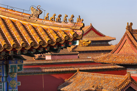 北京紫禁城宫北京 黄屋顶雕像城市地标纪念碑红色黄色文化历史建筑背景图片