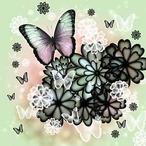蝴蝶和花朵说明季节墙纸菊花黑色插图飞行背景花瓣柔软度装饰品背景图片