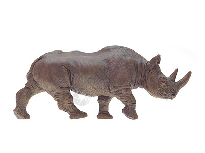 手绘小犀牛托伊犀牛凹版犀牛水平模拟服饰玩具项目说明书雕像物品背景