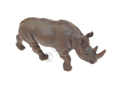 托伊犀牛凹版玩具雕刻配件纪念品动物说明书生产项目犀牛背景图片