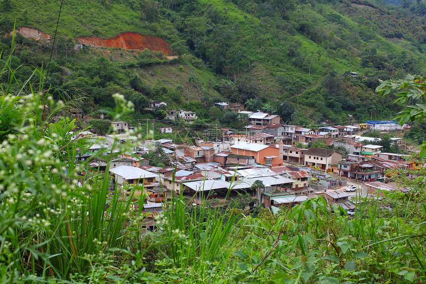 云雾林中的小山村图片