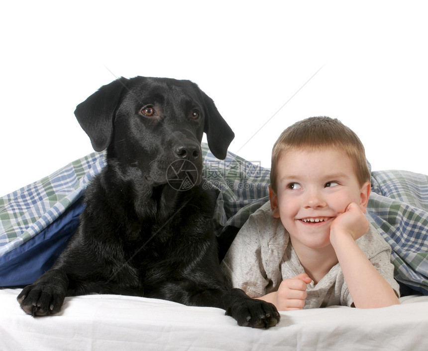 男孩和狗情感男生毛皮男性盖子床单幸福猎犬动物犬类图片