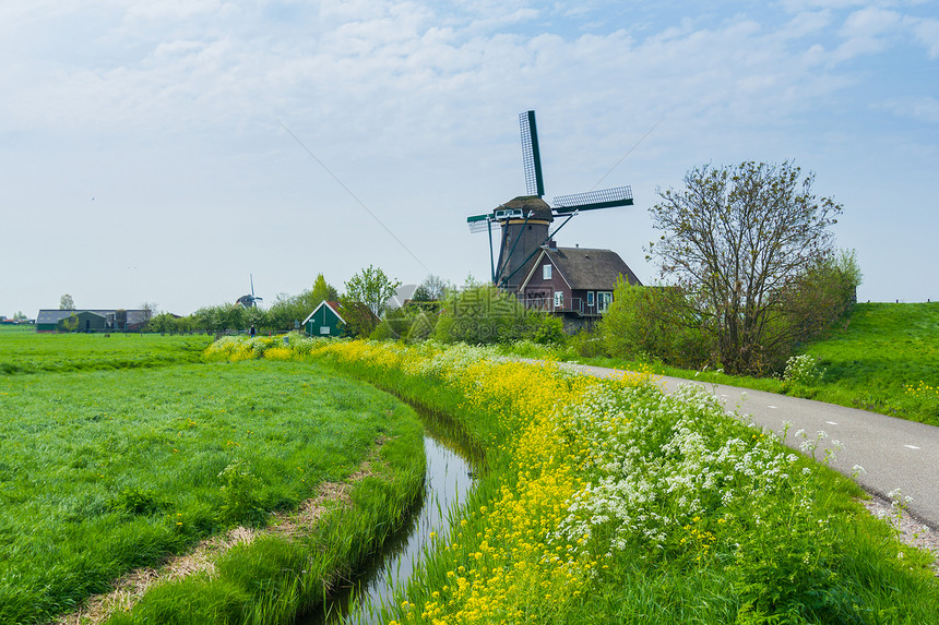 荷兰风车农场历史旅行房子气流发电机力量运河旅游旋转图片