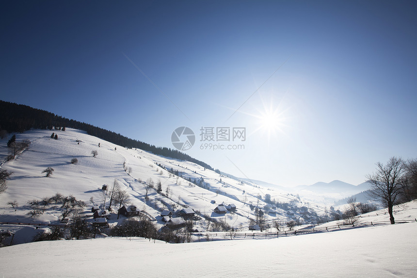 喀尔巴山山脉天际太阳丘陵山腰高光日光树木天空蓝色季节图片