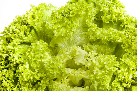 新鲜绿色沙拉生菜叶蔬菜高清图片素材